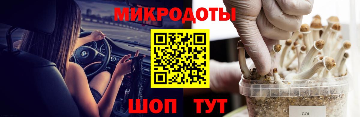 хочу наркоту  Галлюциногенные грибы Psilocybe  Вход с VPN  Саянск 